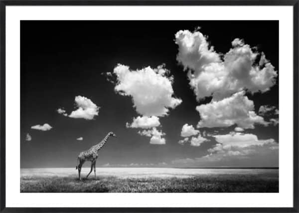 Gone with the Clouds - 5cm White Border - Image 2